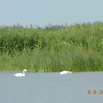 Orla Chata Baltic House * Swinoujscie