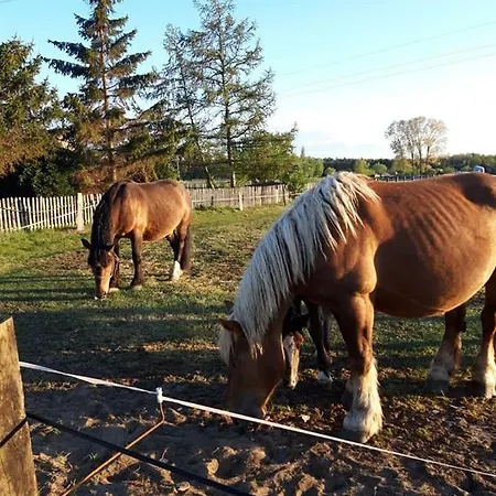 Сasa de vacaciones Orla Świnoujście