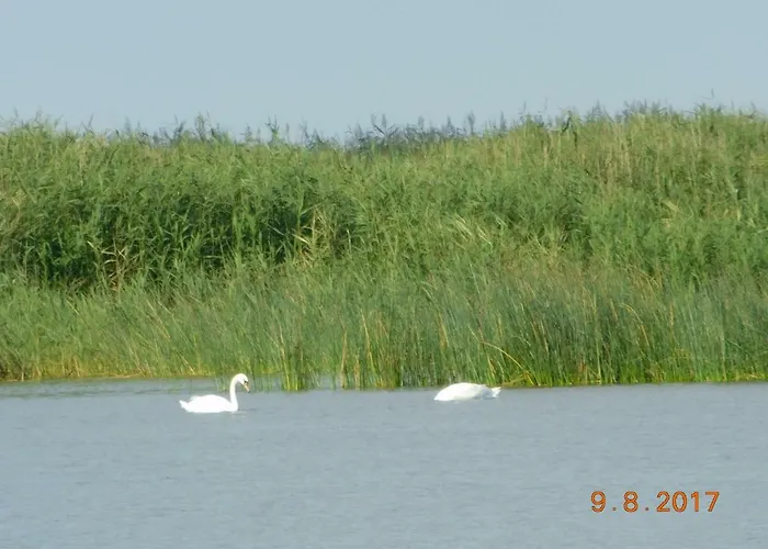 Orla * Świnoujście